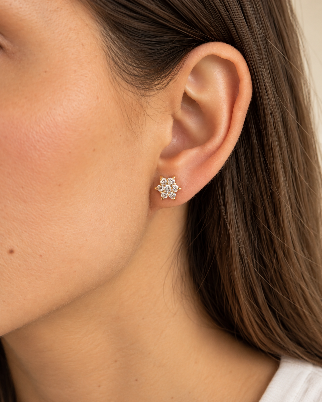 Arete Roseta
