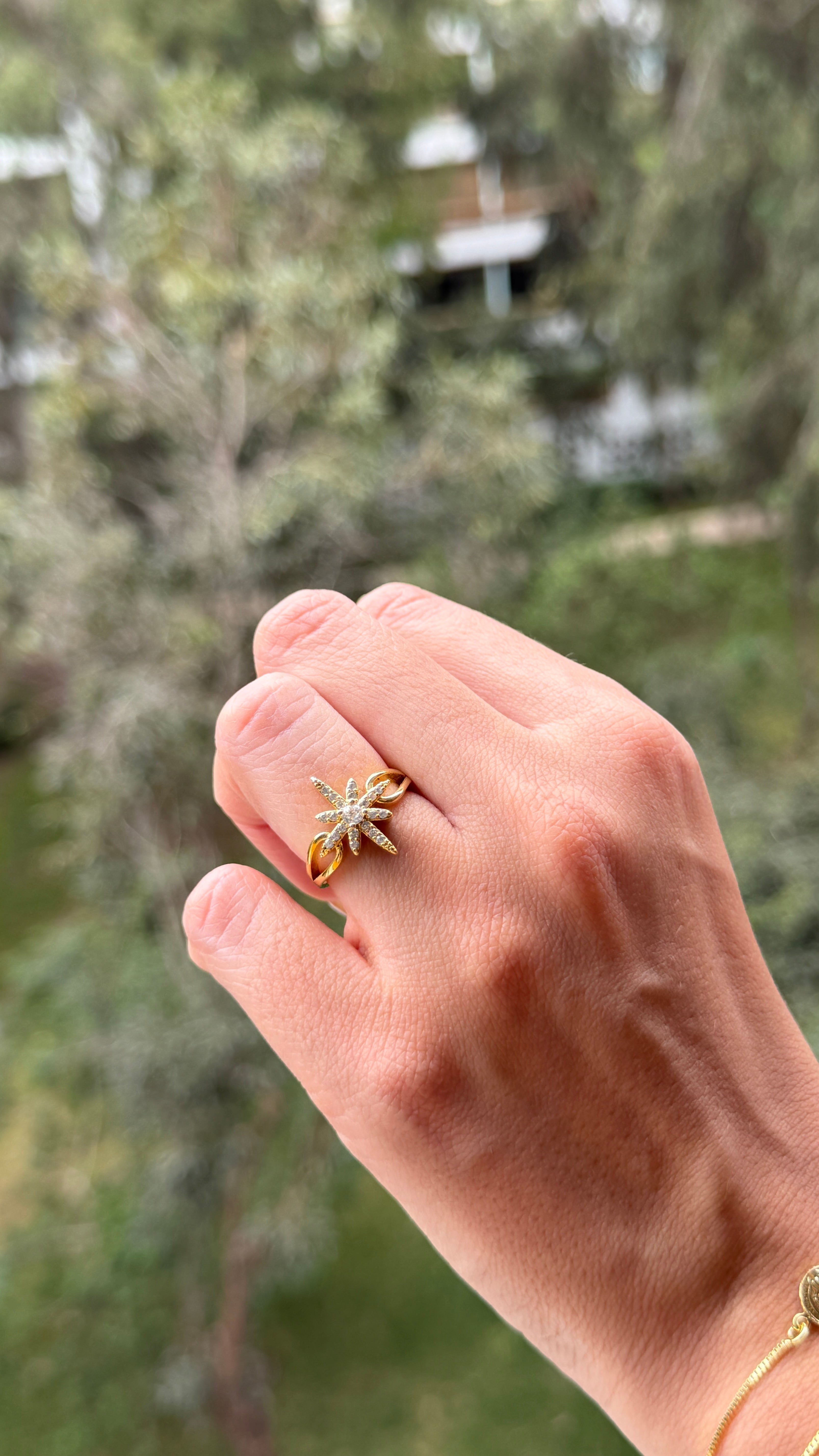 Anillo Stern