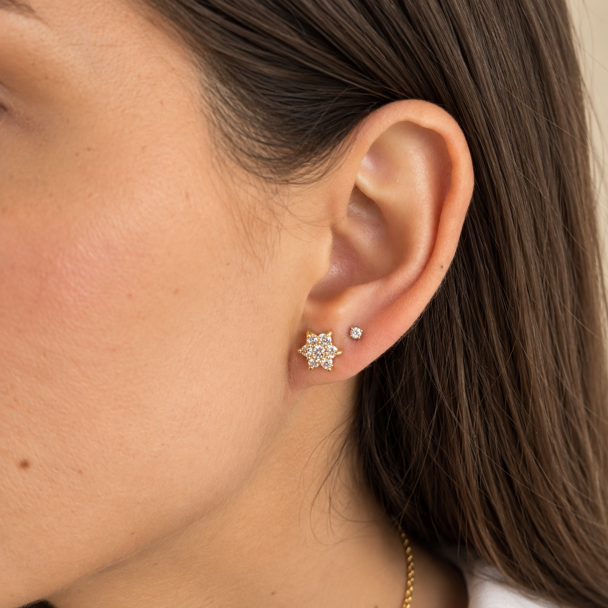 Arete Roseta